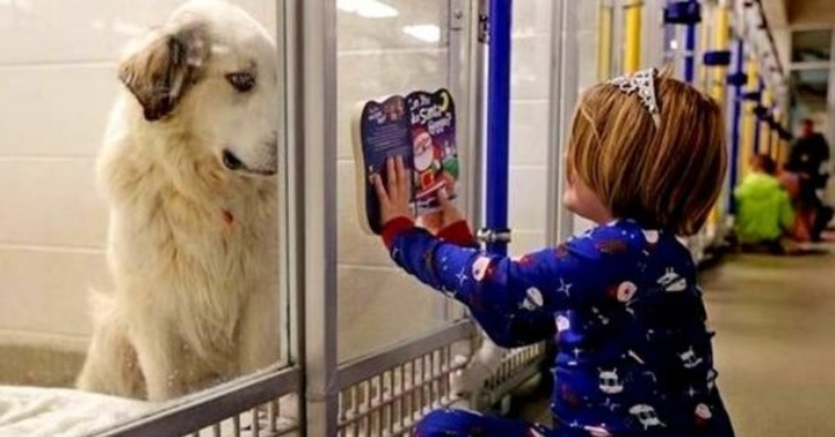 ‘Nepoželjni’ pas je trebao biti spušten, pa mu je djevojka počela čitati priče