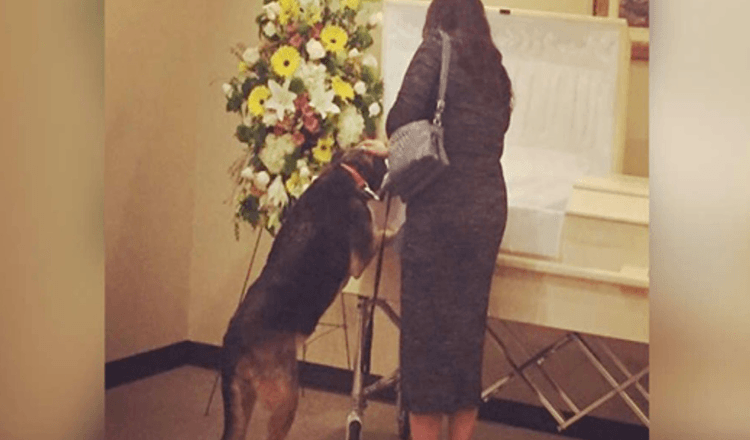 Pogrebno poduzeće pušta psa u posjet kako bi se mogao posljednji put oprostiti