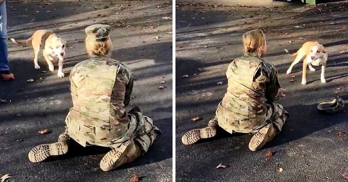 Kad ju je njezin pas odbacio po povratku, majka iz vojske se uzrujala i skidala joj šešir