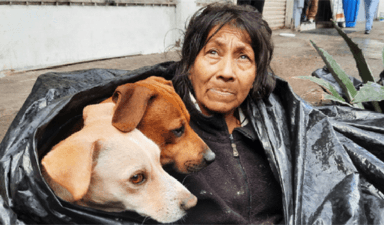 Beskućnica odbija ostaviti svojih šest pasa radi toplog kreveta u skloništu