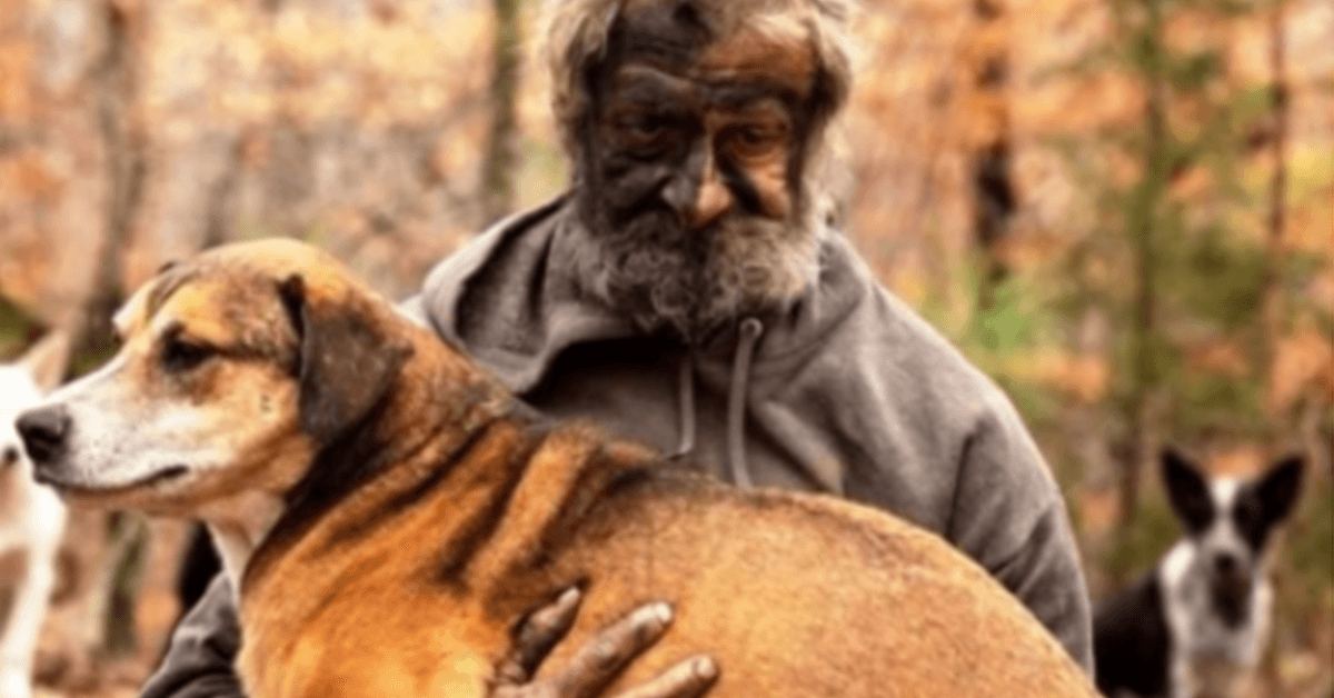 Beskućnik sa suzama u očima gleda kako mu vlasti odvode 31 psa