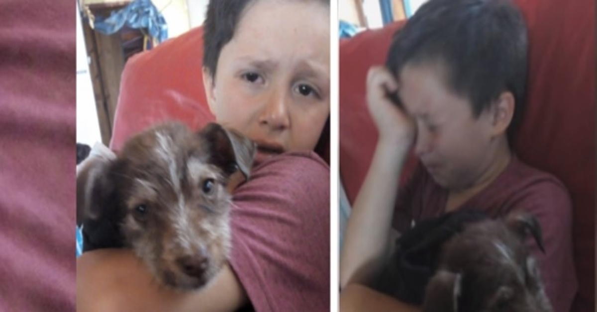 Dječak spasio štene koje su maltretirala druga djeca, odveo ga veterinaru i sada su nerazdvojni