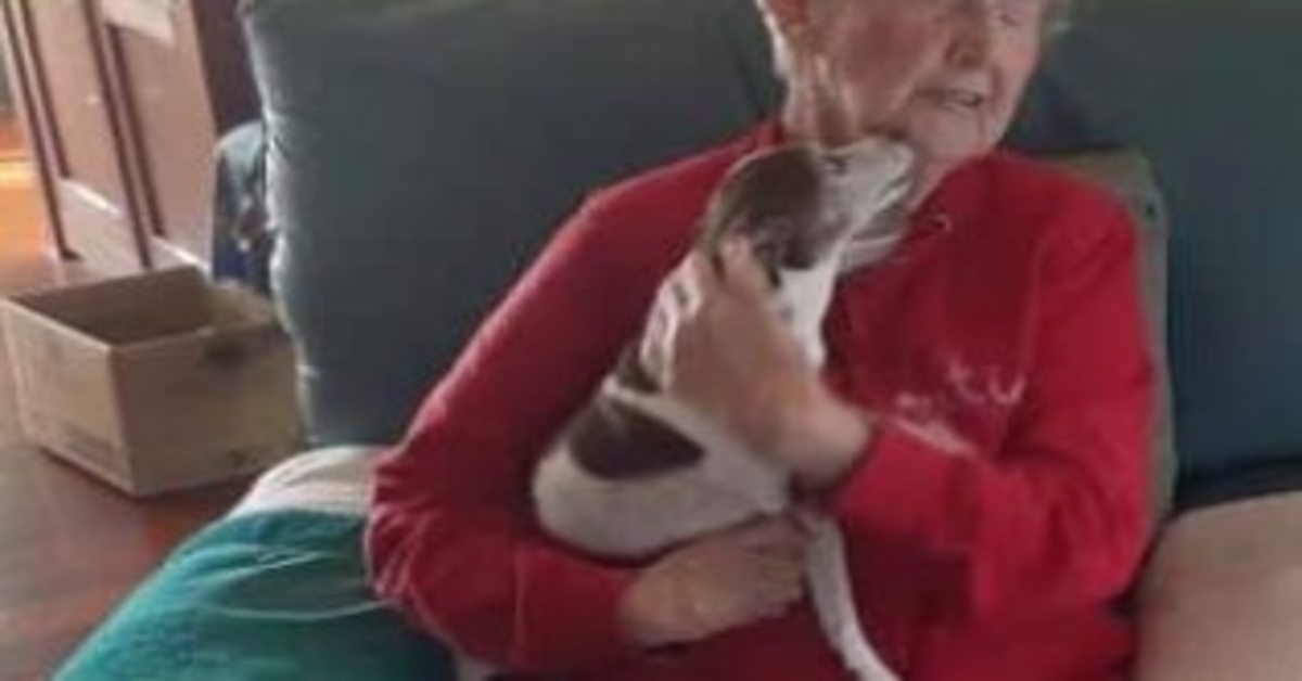 Pas 85-godišnjakinje umro, ali joj nitko neće dopustiti da udomi novog psa