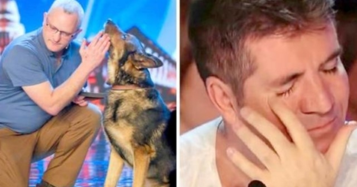 Policijski pas izboden na dužnosti, Simon Cowell se bori protiv suza na BGT